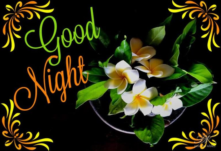 Good Night Wishes