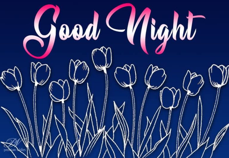 Good Night Wishes