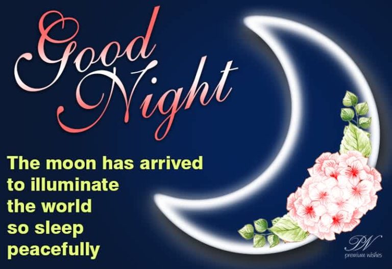 Good Night Wishes