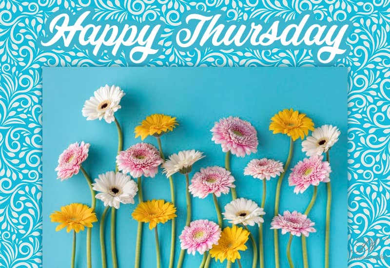 Happy Thursday Morning: Greetings and Blessings Good Morning, Happy Thursday!