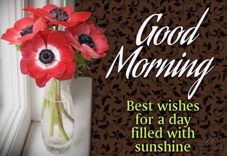 Good Morning – Best wishes for a day filled with sunshine