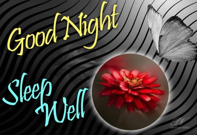 Good Night Wishes