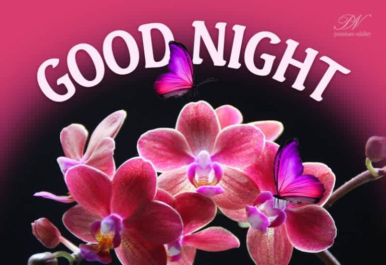 Good Night Wishes