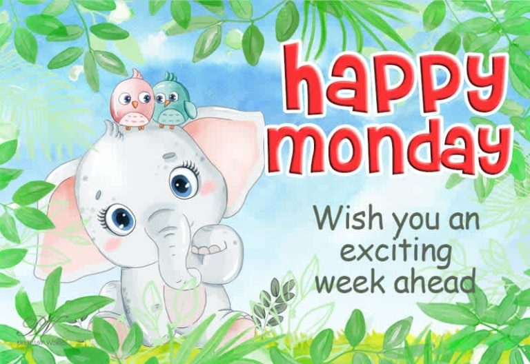 Happy Monday – Wish you an exciting week ahead