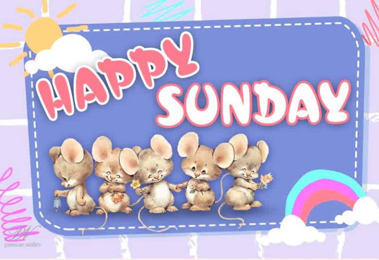 Happy Sunday Friends – Spend the day among friends and enjoy