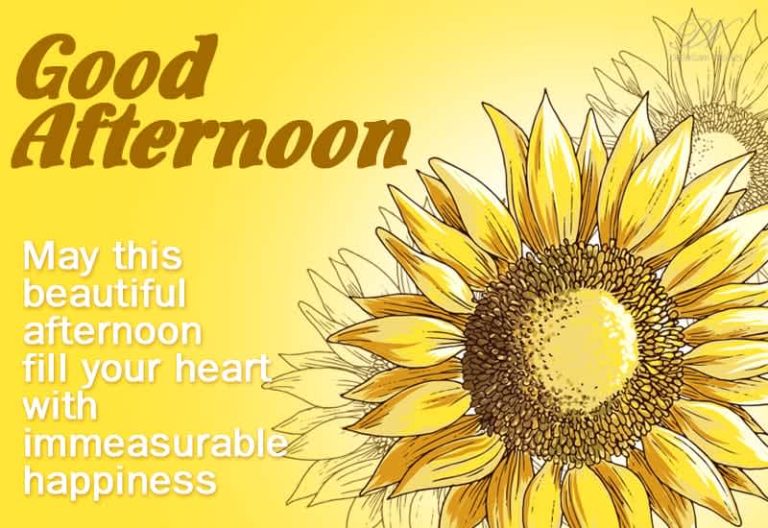 Good Afternoon Wishes