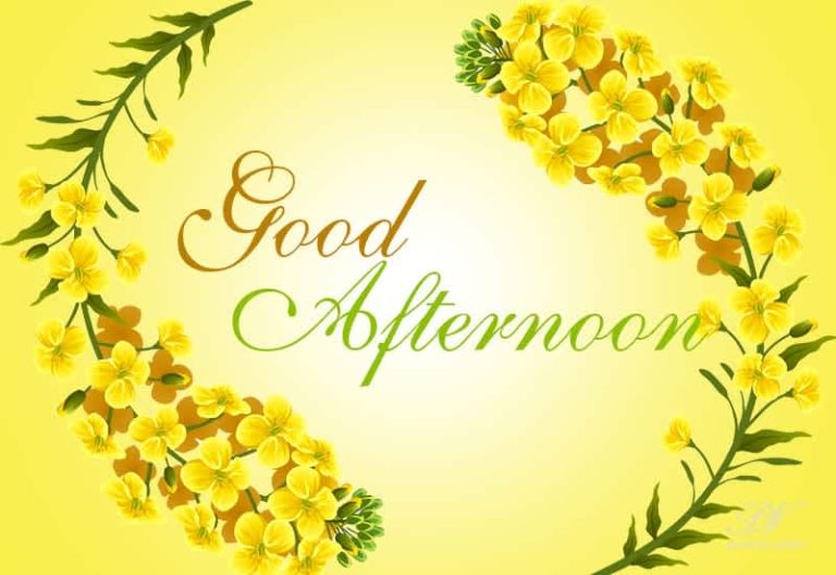 Good Afternoon Wishes