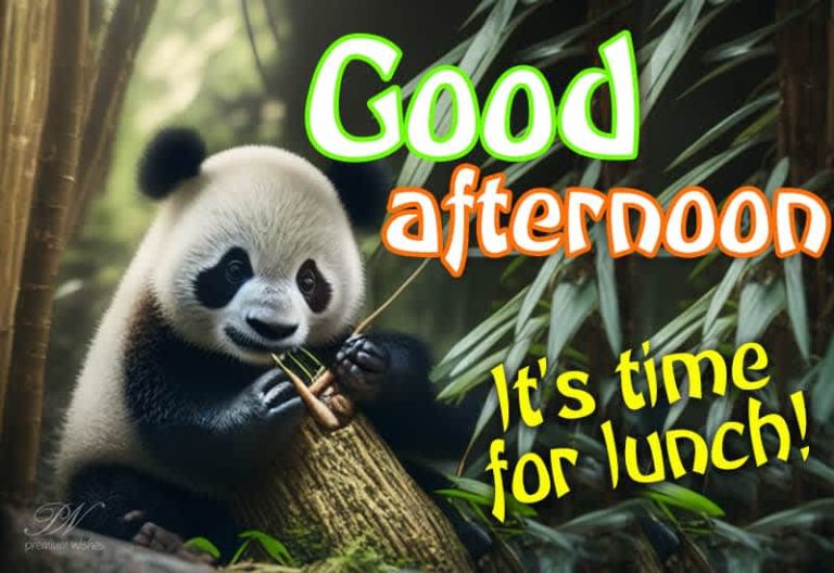 Good Afternoon Wishes