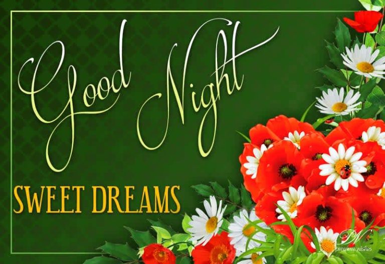 Good Night Wishes