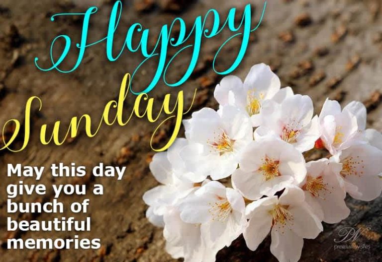 Happy Sunday – May this day give you a bunch of beautiful memories