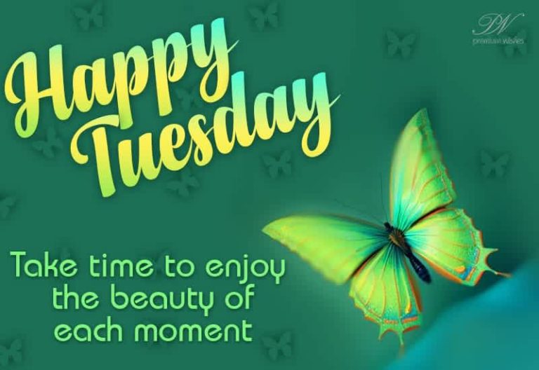Happy Tuesday – Take time to enjoy the beauty of each moment