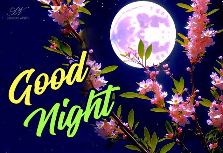 Good Night Wishes