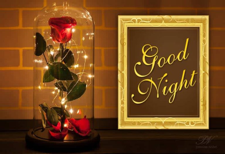 Good Night Wishes