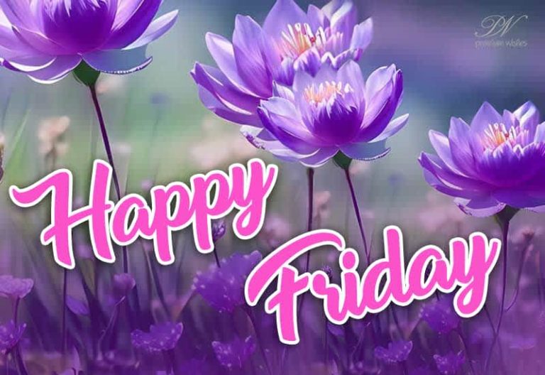 Happy Friday – Friends Begin Preparing For The Weekend