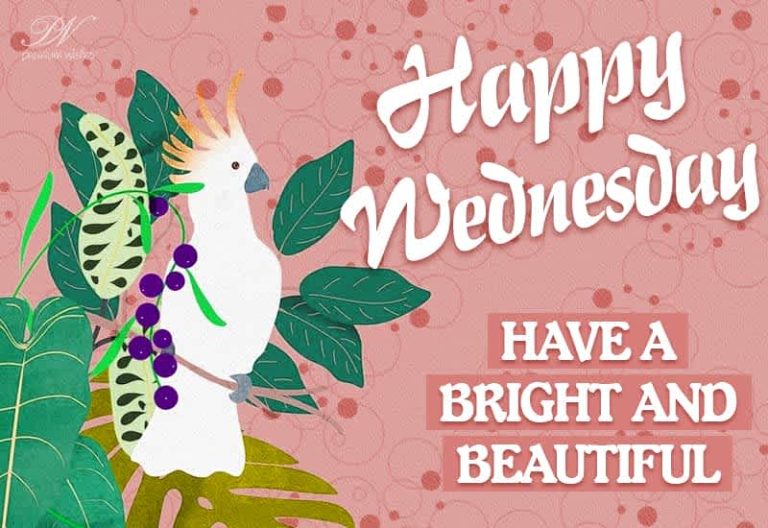 Happy Wednesday – Have a bright and beautiful day