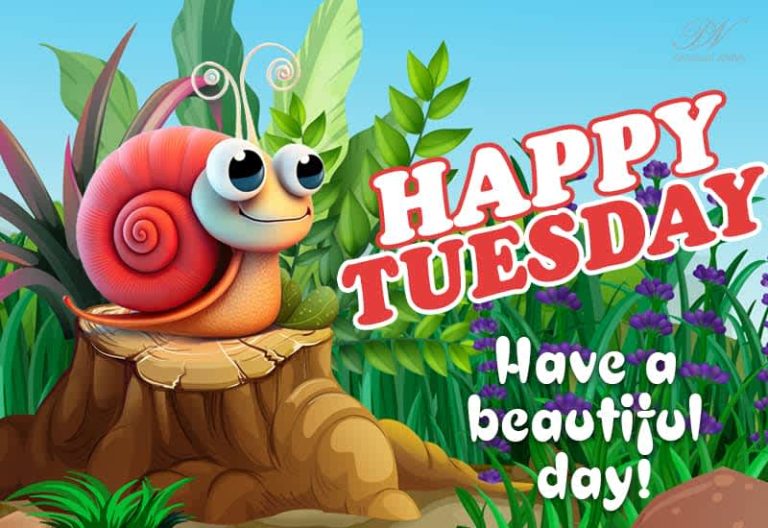 Happy Tuesday – Have a beautiful day
