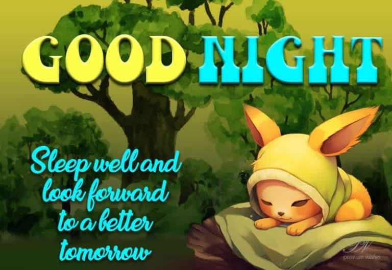 Good Night Wishes