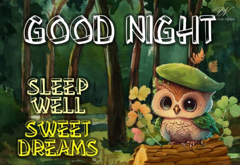 Good Night Wishes