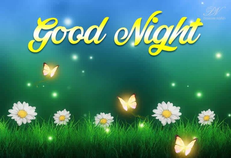 Good Night Wishes