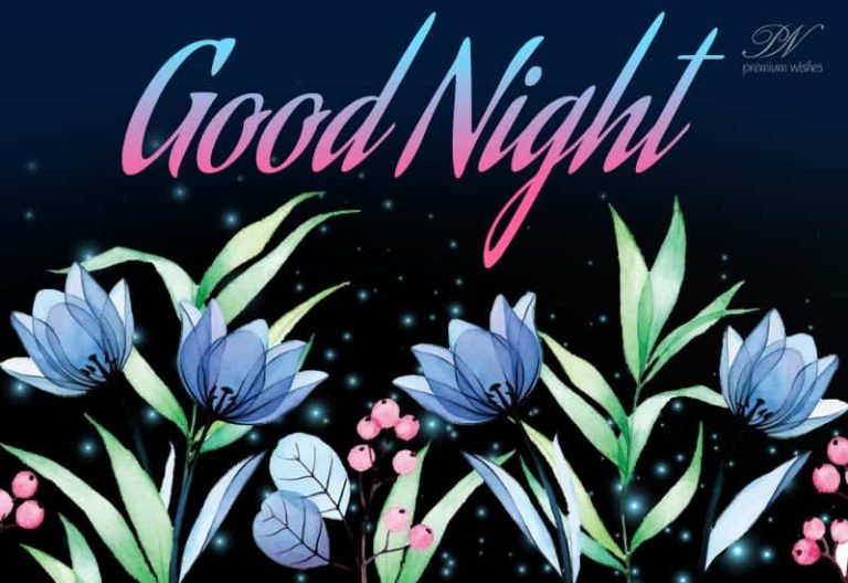 Good Night Wishes