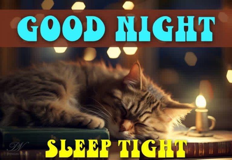 Good Night Wishes