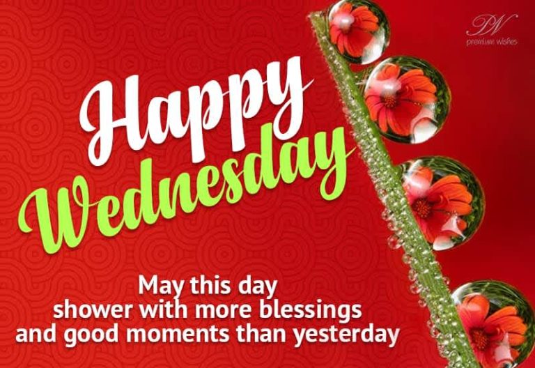 Happy Wednesday – May this day shower with more blessings and good moments than yesterday