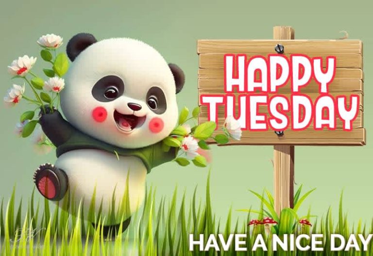 Happy Tuesday Friends – Have a nice day