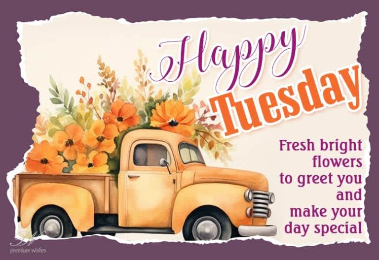 Happy Tuesday – Fresh bright flowers to greet you and make your day special