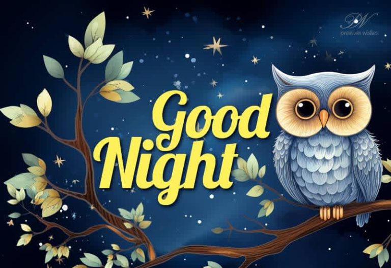 Good Night Wishes
