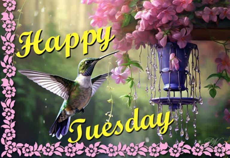 Happy Tuesday – Enjoy and Be Happy