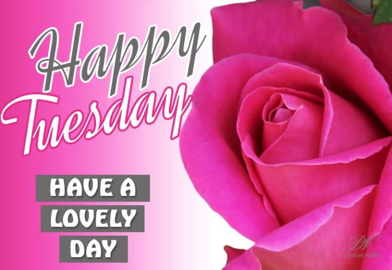 Happy Tuesday – Have a lovely day