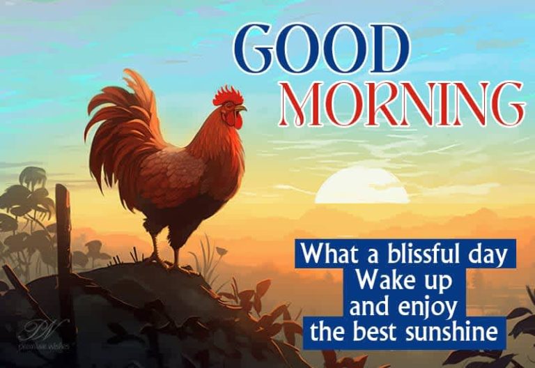 Good Morning – What a blissful day – Wake up and enjoy the best sunshine