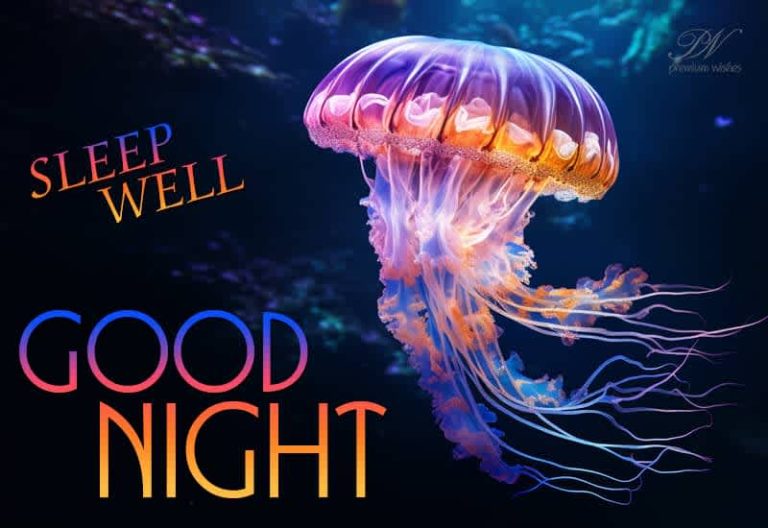 Good Night Wishes