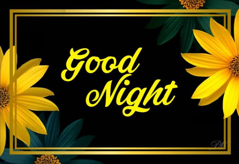 Good Night Wishes