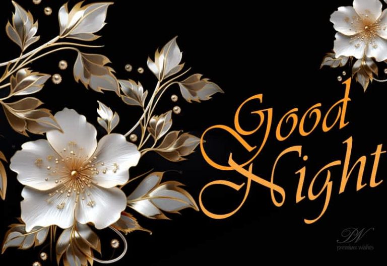 Good Night Wishes