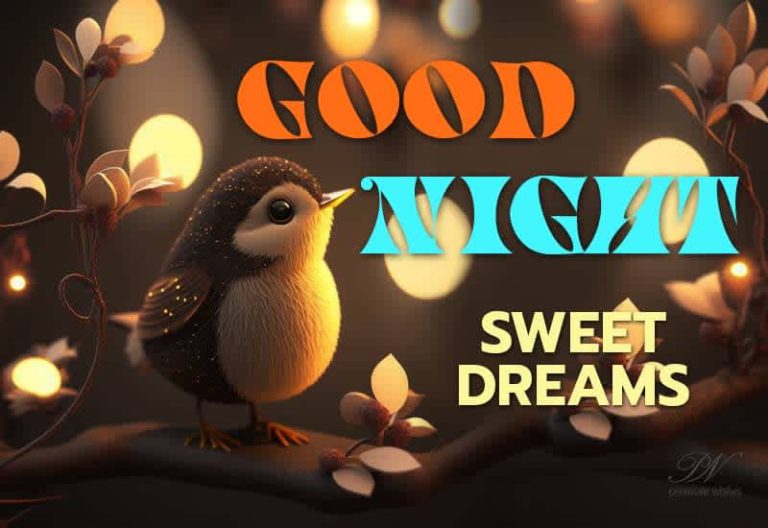 Good Night – Sweet Dreams – Friends Spend A Great Night