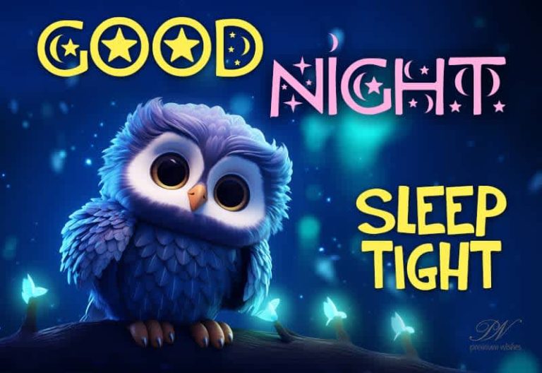 Good Night Wishes