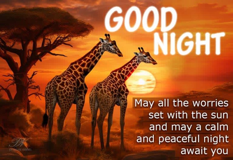 Good Night Wishes