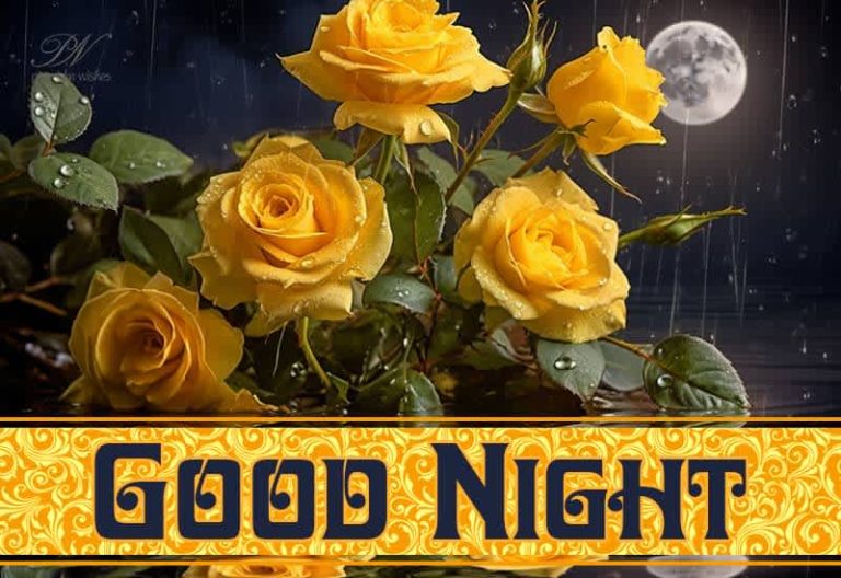 Good Night Wishes