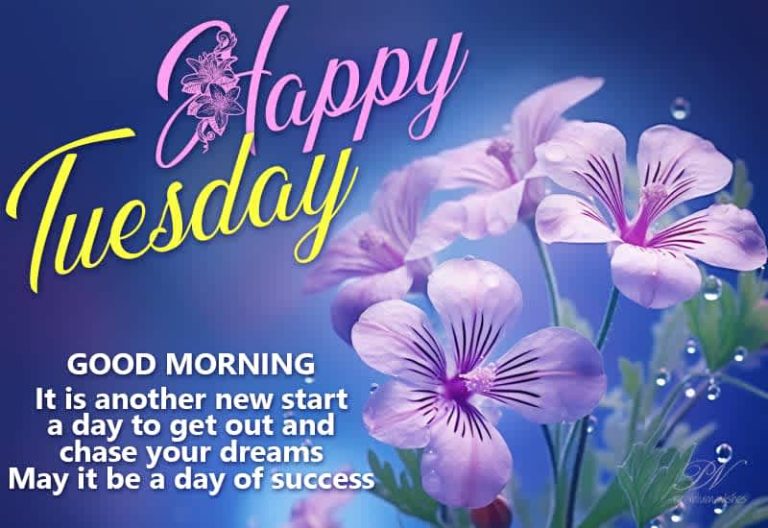 Happy Tuesday – Good Morning – It is another new start a day to get our and chase your dreams. May it be a day of success