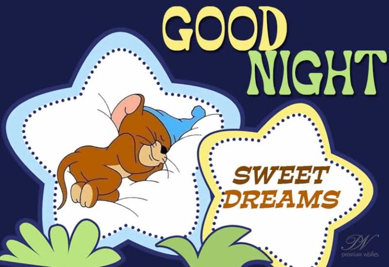 Good Night Wishes