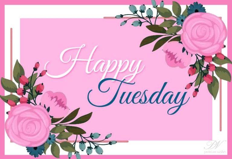 Happy Tuesday Morning! I hope you stay blessed and have a wonderful working day