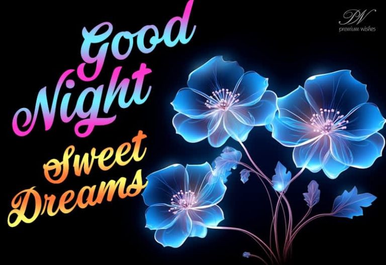 Good Night Wishes