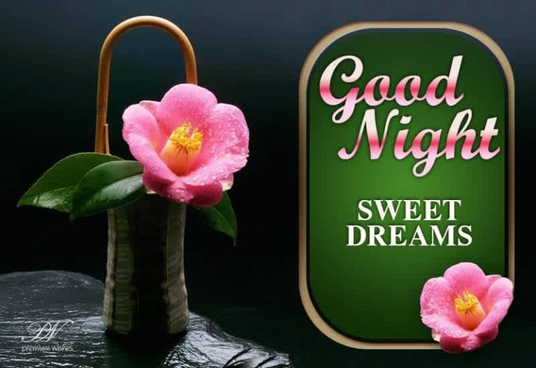 Good Night Wishes