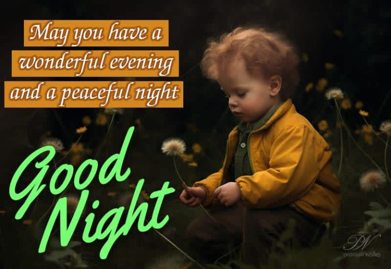 Good Night Wishes