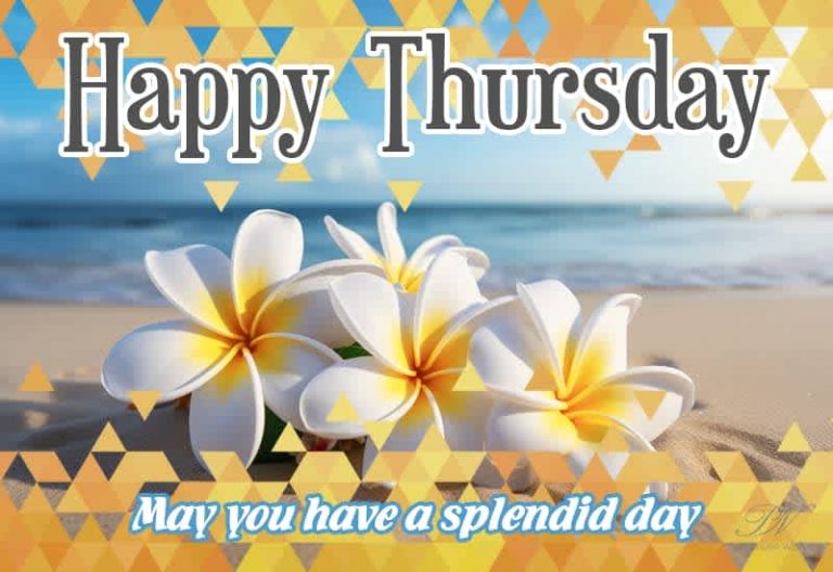 Happy Thursday – May you have a splendid day