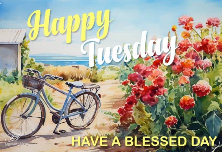 Happy Tuesday Friends – Have a blessed day – enjoy the flowers