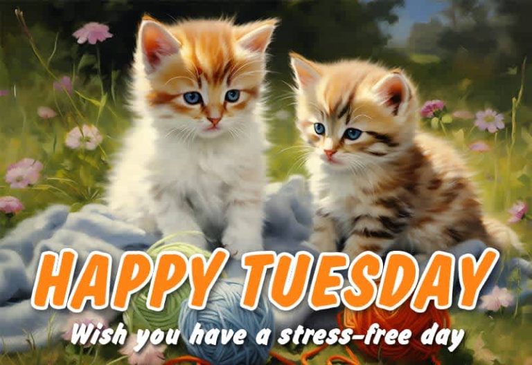 Happy Tuesday – Wish you have a stress free day