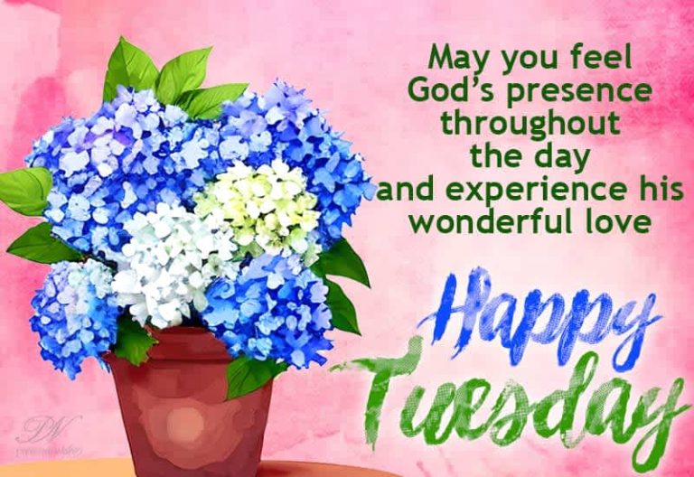 Happy Tuesday – May you feel God’s presence throughout the day and experience his wonderful love