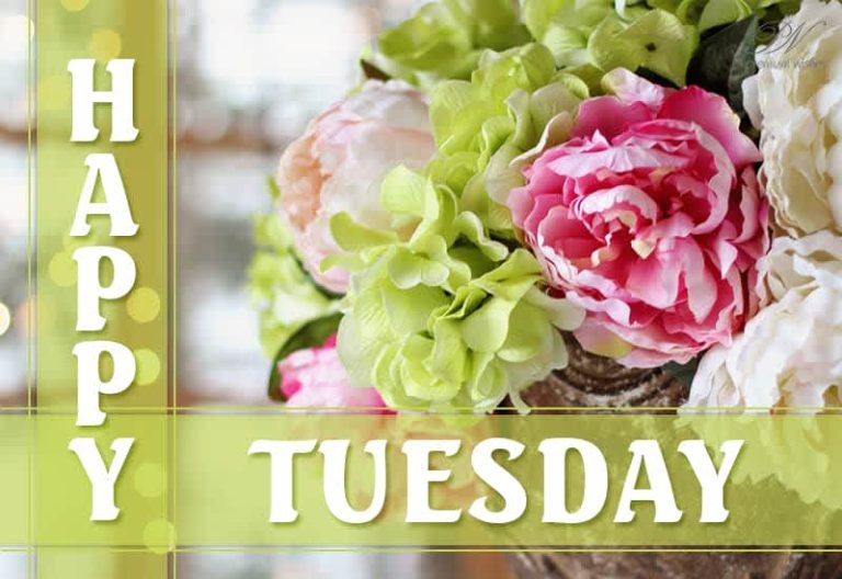 Happy Tuesday Friends – Experience The Beauty Of This Morning